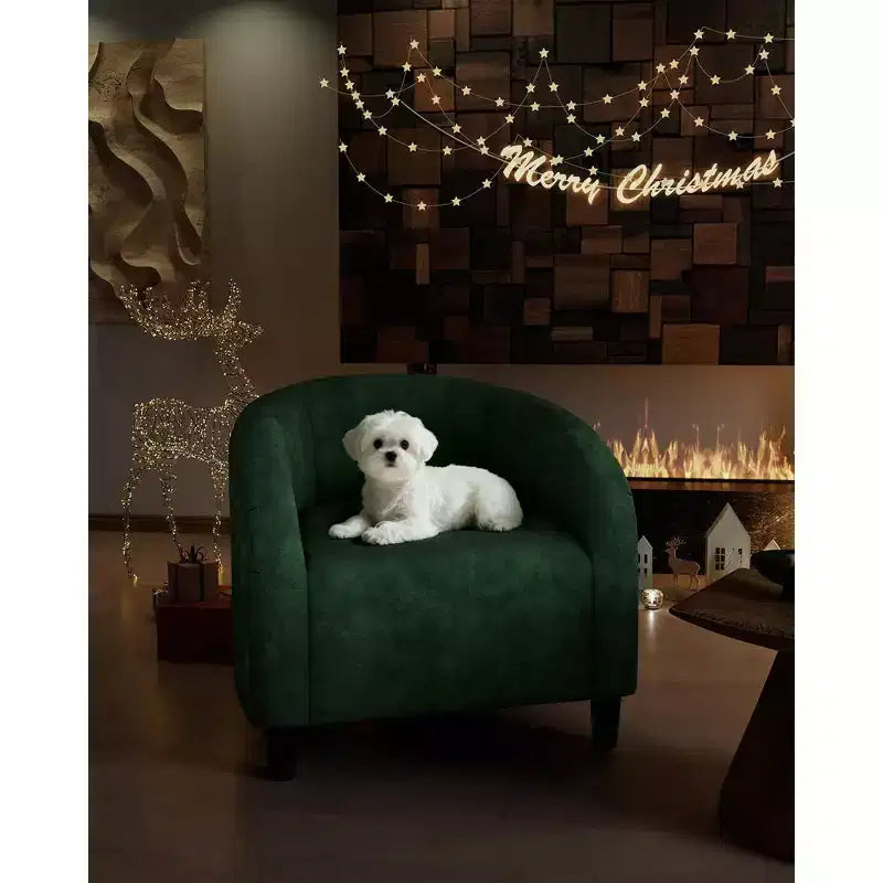 Fauteuil club 28 en velours avec dossier en U, accoudoirs incurvés et assise rembourrée douce pour salon et chambre