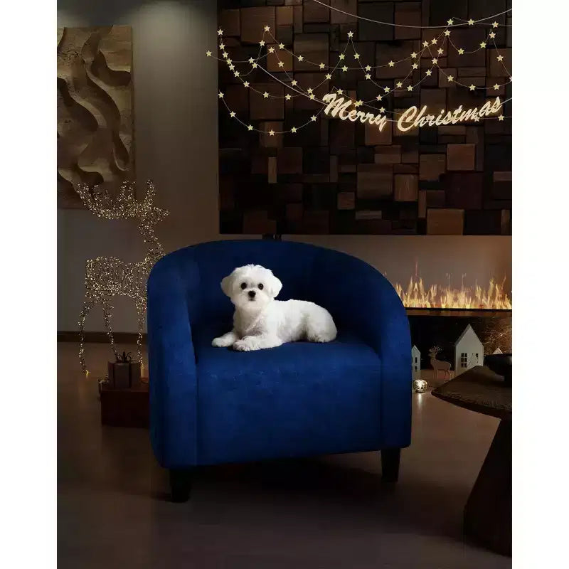 Fauteuil club 28 en velours avec dossier en U, accoudoirs incurvés et assise rembourrée douce pour salon et chambre